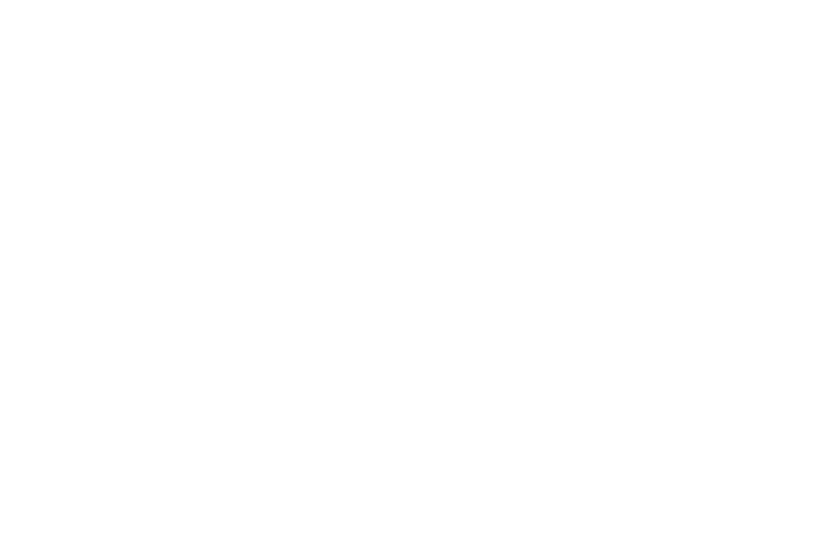Culver-Stockton College logo